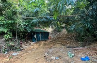 Hình ảnh lán "nguỵ trang" nhưng thực tế bên trong là hầm khai thác vàng trái phép. Nguồn ảnh MC