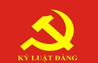 Bộ Chính trị, Ban Bí thư xem xét, thi hành kỷ luật tổ chức đảng, đảng viên