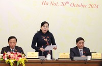 Bà Nguyễn Thanh Hải thông tin tại họp báo.