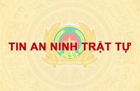 Gia Lai: Bắt tạm giam đối tượng lừa 'chạy án', chiếm đoạt 150 triệu đồng
