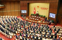 Chú trọng hơn nữa công tác xây dựng pháp luật
