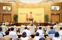 Quang cảnh phiên họp. Ảnh: An Đăng/TTXVN.