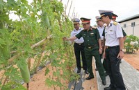 Trung tướng Trần Duy Giang, Chủ nhiệm Tổng cục Hậu cần khảo sát thực tế một khu trồng bí.