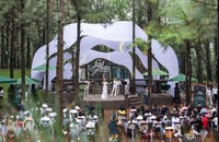 “Soul of the forest - Giai điệu của rừng thông” trở lại mùa 2. (ảnh BTC)