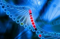 Bệnh nhân đầu tiên được điều trị bằng kỹ thuật chỉnh sửa gene cá nhân hóa