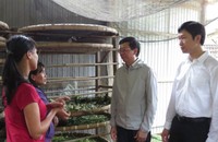 Chủ động tìm hướng tăng hiệu quả vốn chính sách