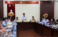Thứ trưởng Phạm Lê Tuấn phát biểu tại buổi làm việc