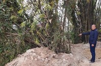 Mảnh đất ông Đô cho rằng gia đình mình nhiều đời quản lý sử dụng.