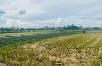 Xã Kiến Thiết (huyện Tiên Lãng) phấn đấu hoàn thành xây dựng xã NTM kiểu mẫu trong năm 2021.