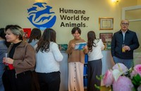 Humane World for Animals có văn phòng hoạt động tại Hà Nội, Việt Nam. (Ảnh: Thu Phương)