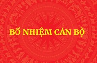Thủ tướng bổ nhiệm nhân sự