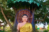 Thành kính hướng về kỷ niệm ngày Đức Phật thành đạo mùng 8 tháng 12 Âm lịch