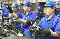 Lợi ích 'vàng' đang bị doanh nghiệp bỏ ngỏ