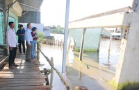 Cà Mau xây dựng Đề án phòng, chống sạt lở bờ biển, bờ sông
