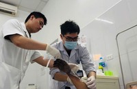 Bệnh nhân may mắn không cần phẫu thuật cắt lọc mô hoại tử. Bàn tay đang hồi phục tốt nhờ điều trị nội khoa. Ảnh: Thanh Thanh
