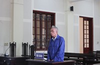 Bị cáo Nguyễn Đức Thanh bị tuyên án 13 năm tù về tội “Lạm dụng chức vụ quyền hạn chiếm đoạt tài sản”.