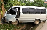 Xe chở gỗ lậu mất lái, lao xuống rãnh thoát nước, đâm vào gốc cây.