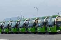 Tất cả các xe điện đều được đăng ký, gắn biển số.