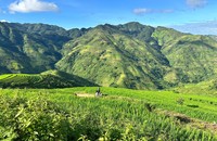Tà Xùa mùa hè với nét đẹp rất hùng vĩ.
