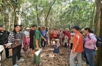 Địa đạo Củ Chi là điểm đến thu hút du khách ở TP. Hồ Chí Minh. (Ảnh trong bài: Địa đạo Củ Chi)