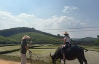Du khách nước ngoài trải nghiệm cuộc sống đồng quê ở Tang’s Farm. (Ảnh: Tripadvisor)