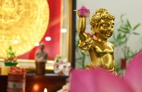 Nghĩ về ngày đức Phật đản sinh