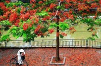 Ảnh minh họa. (Nguồn: ST)