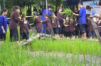 Các em được học cấy lúa. (Ảnh: Tin Viet Travel)