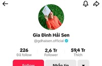 Kênh TikTok 2,6 triệu lượt follow "Gia đình Hải Sen" (Ảnh chụp màn hình)