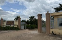 Cty Khải Anh cho biết đã “thiệt đơn, thiệt kép” khi mua trại heo.