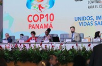 Quang cảnh COP10. (Nguồn ảnh: FCTC)