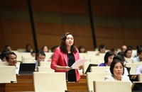 Đại biểu Đặng Bích Ngọc phát biểu tại phiên họp.