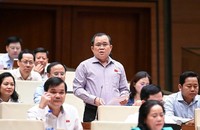 Đại biểu Nguyễn Tâm Hùng phát biểu tại phiên họp.