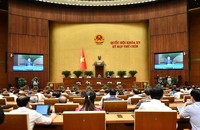 Quang cảnh phiên họp.