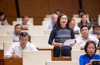 Đại biểu Đặng Bích Ngọc phát biểu tại phiên họp.