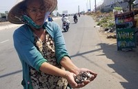 Một người dân cầm rất nhiều đinh tự chế nhặt trước cổng Bến xe Miền Đông (mới). Ảnh: Công Nguyên.