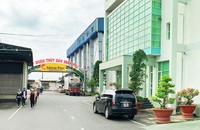 Cà Mau có 7 thương hiệu, sản phẩm được tôn vinh “Thương hiệu Vàng nông nghiệp Việt Nam”