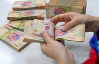Nhà đầu tư nhỏ lẻ thường để ý đến lợi nhuận ròng mà quên đi độ quan trọng của bức tranh tổng thể (Ảnh minh họa: Mạnh Quân).