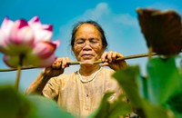 Dâu Tằm Tơ Mỹ Đức: Từ sợi tơ truyền thống đến niềm tự hào thương hiệu Việt