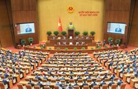 Ảnh minh họa (Ảnh: VGP)