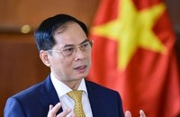 Phó Thủ tướng Chính phủ Bùi Thanh Sơn làm Trưởng Ban Chỉ đạo. (Ảnh: Tiền phong).
