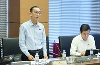 Đại biểu Trần Hoàng Ngân (Đoàn TP Hồ Chí Minh).
