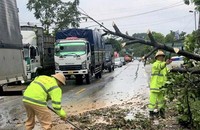 Lực lượng Cảnh sát giao thông (Công an tỉnh Tuyên Quang) hỗ trợ người dân khắc phục cây đổ tại Hàm Yên.