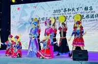 Tiết mục trình diễn nghệ thuật tại chương trình (Ảnh: T.D)