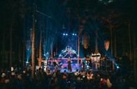 Hàng trăm khán giả đã sưởi ấm không khí Giáng sinh của Soul of the Forest.