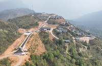 Phá rừng tự nhiên, công ty TNHH Vượng Đạt bị phạt hơn 100 triệu đồng