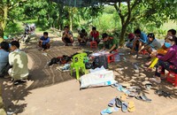 Triệt xóa tụ điểm đánh bạc bên trong vườn xoài