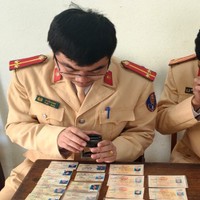 Sử dụng giấy phép lái xe giả có thể bị truy cứu trách nhiệm hình sự?