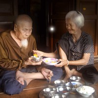 Tình già
