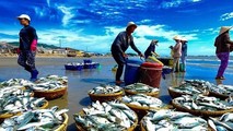 Thời hạn cuối của “thẻ vàng” mà Ủy ban Châu Âu (EC) áp dụng đối với hoạt động khai thác thủy sản của Việt Nam đang đến gần